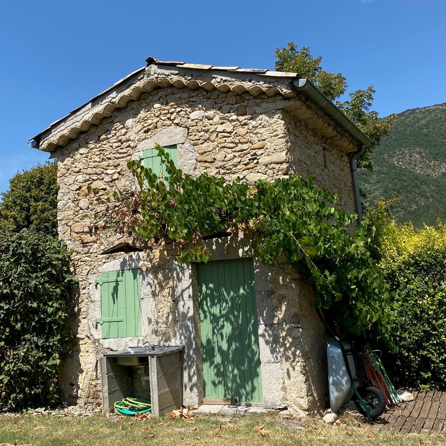 regional wine: Clairette de Die regional wine: Clairette de Die